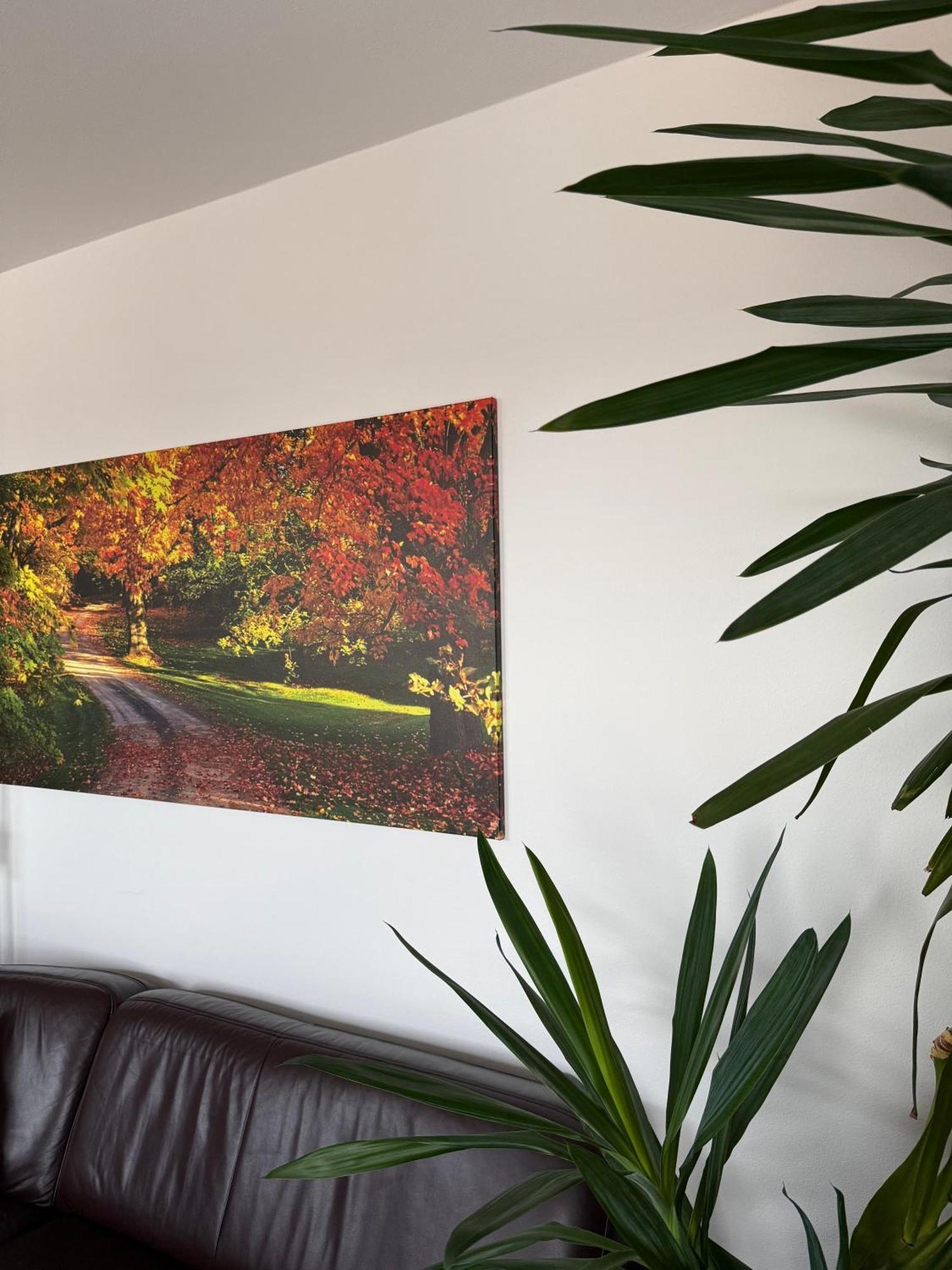 Rubicon Apartment